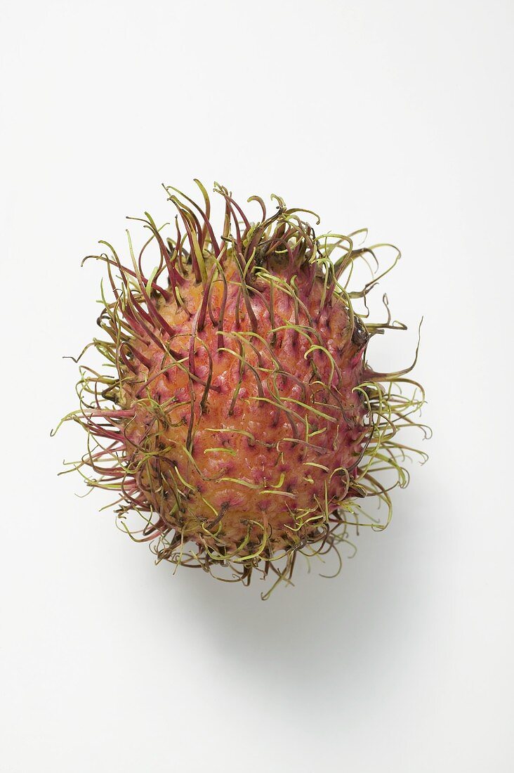 Rambutan