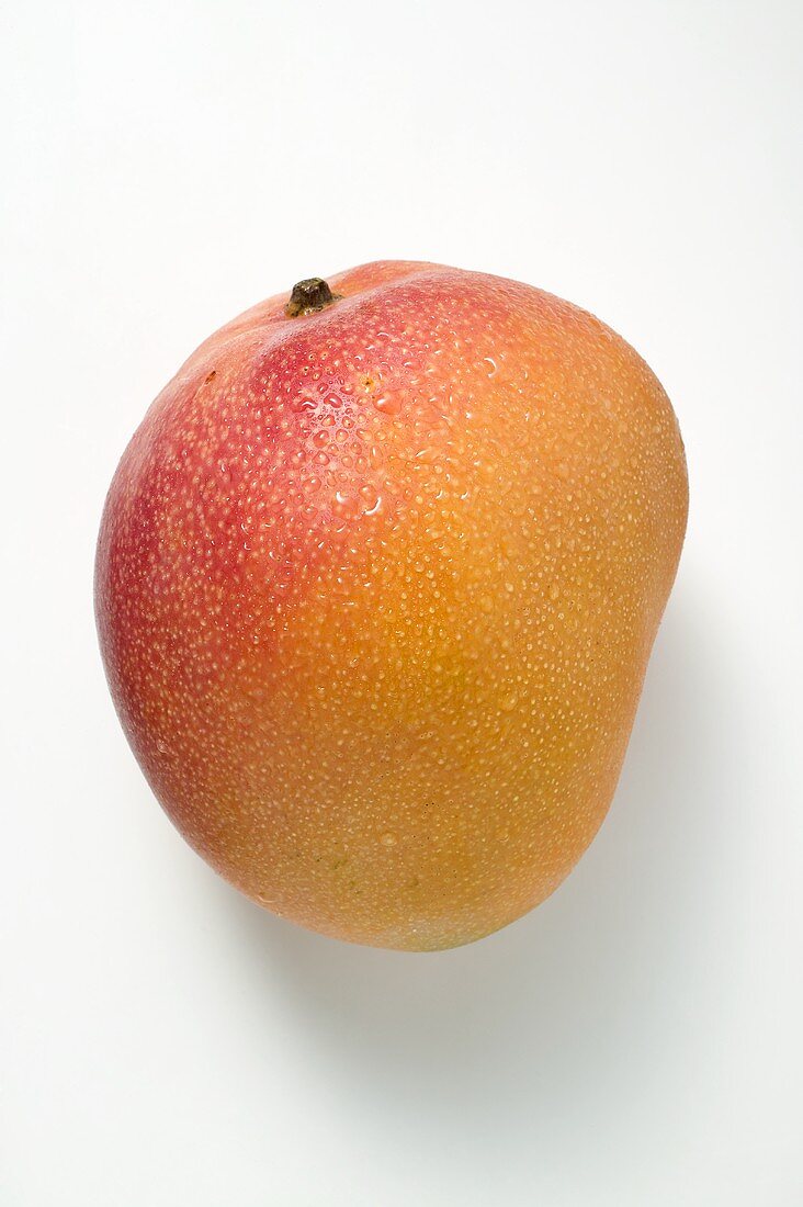 Eine Mango mit Wassertropfen