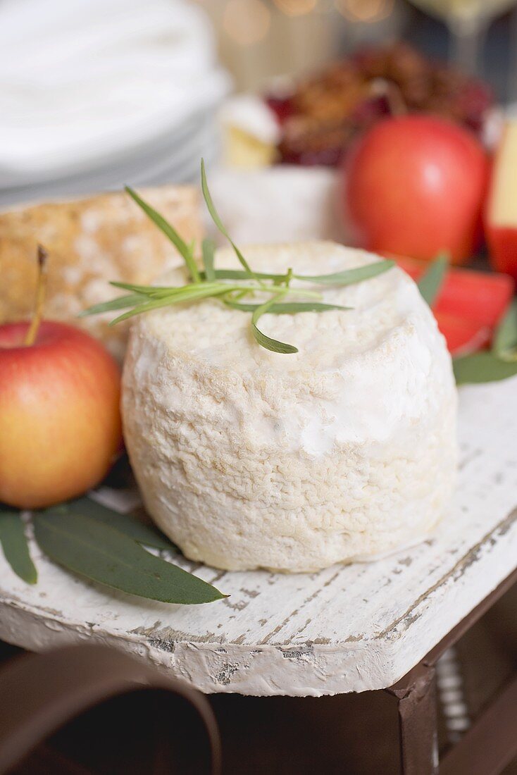 Goat's cheese and apples on small sleigh (Christmas)