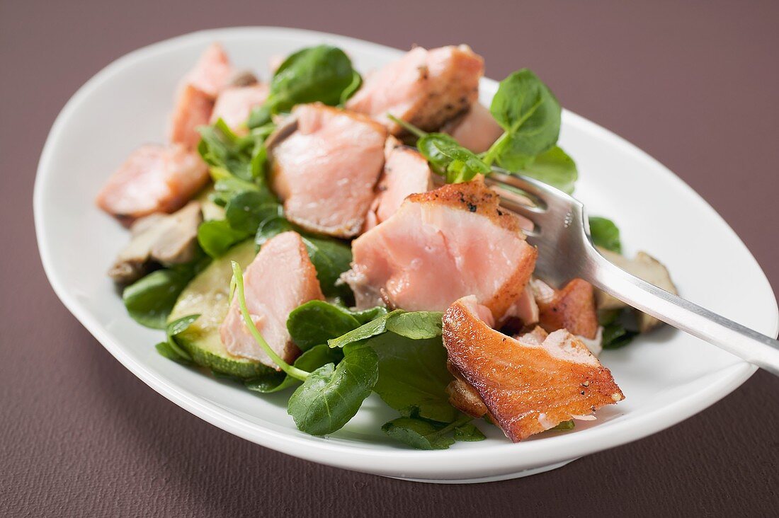 Salad leaves with fried salmon and mushrooms