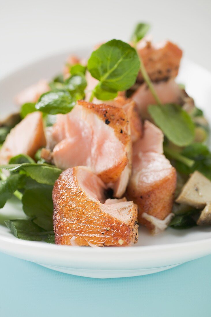 Blattsalat mit gebratenem Lachs und Champignons (Ausschnitt)