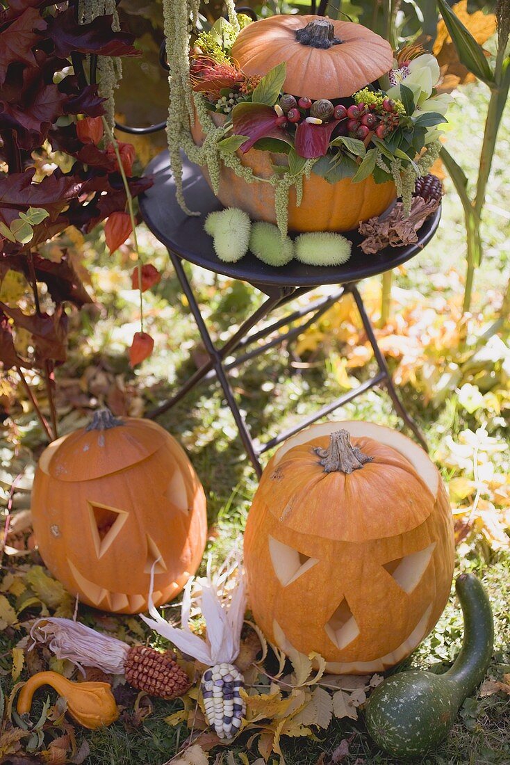 Autumnal garden decoration with pumpkins