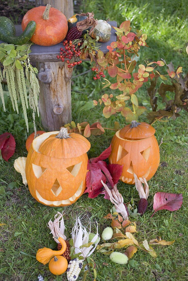 Herbstliche Gartendeko mit Kürbissen, Maiskolben und Laub