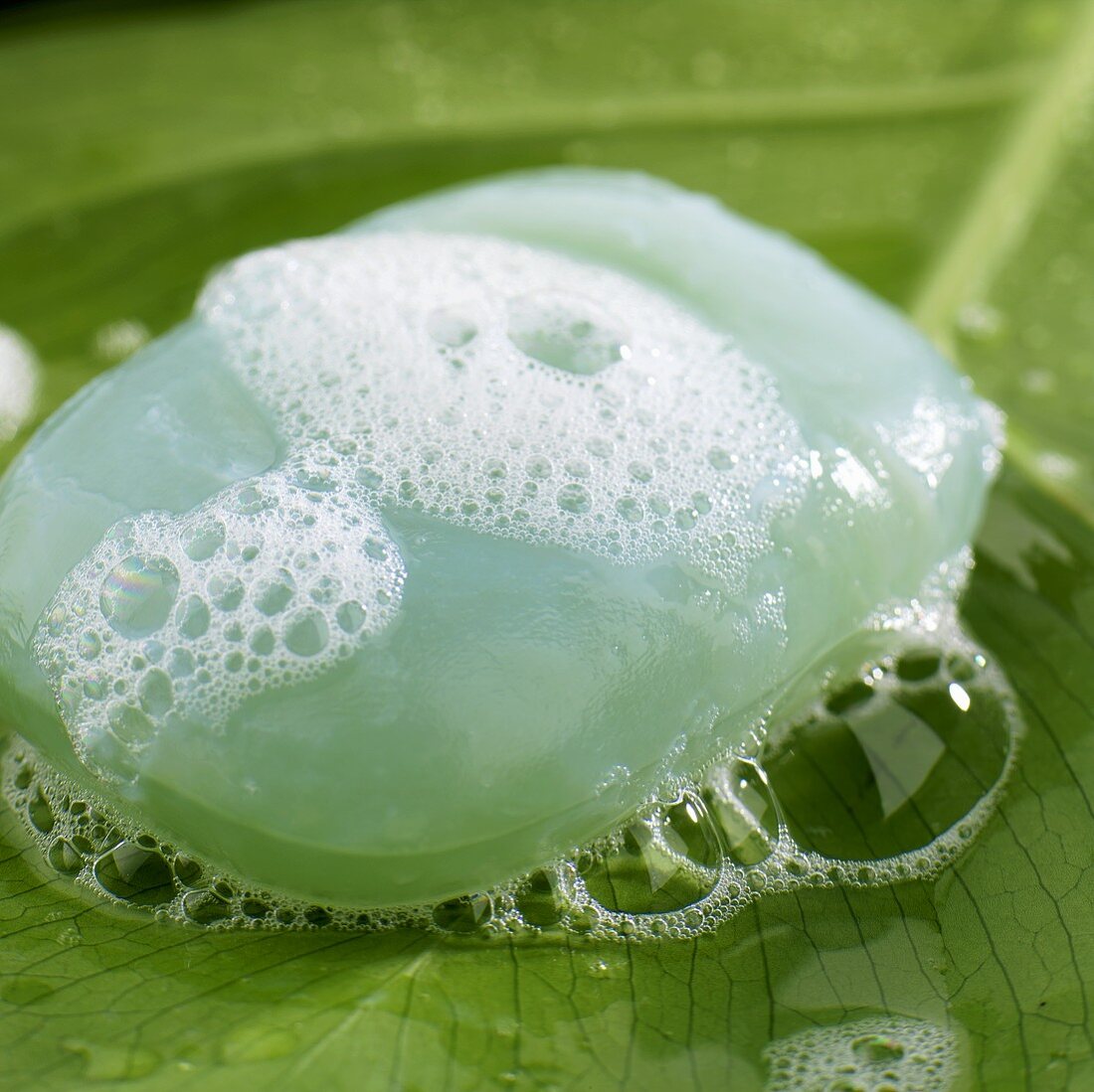 Seaweed soap on leaf