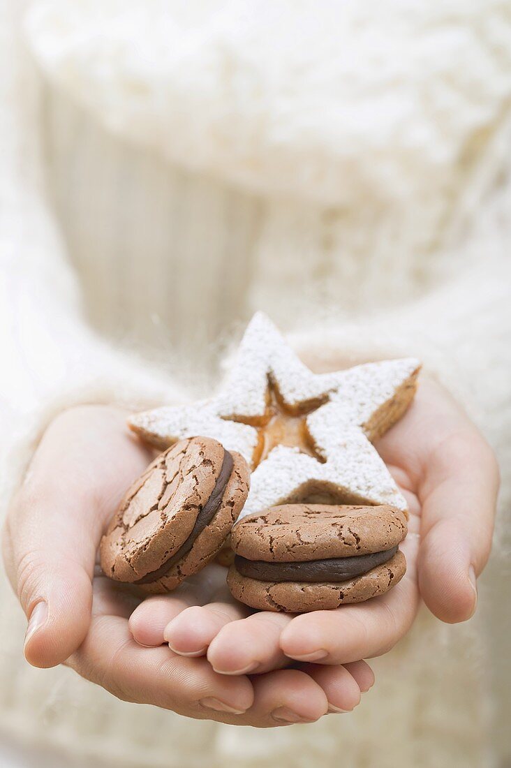 Hands holding Christmas biscuits