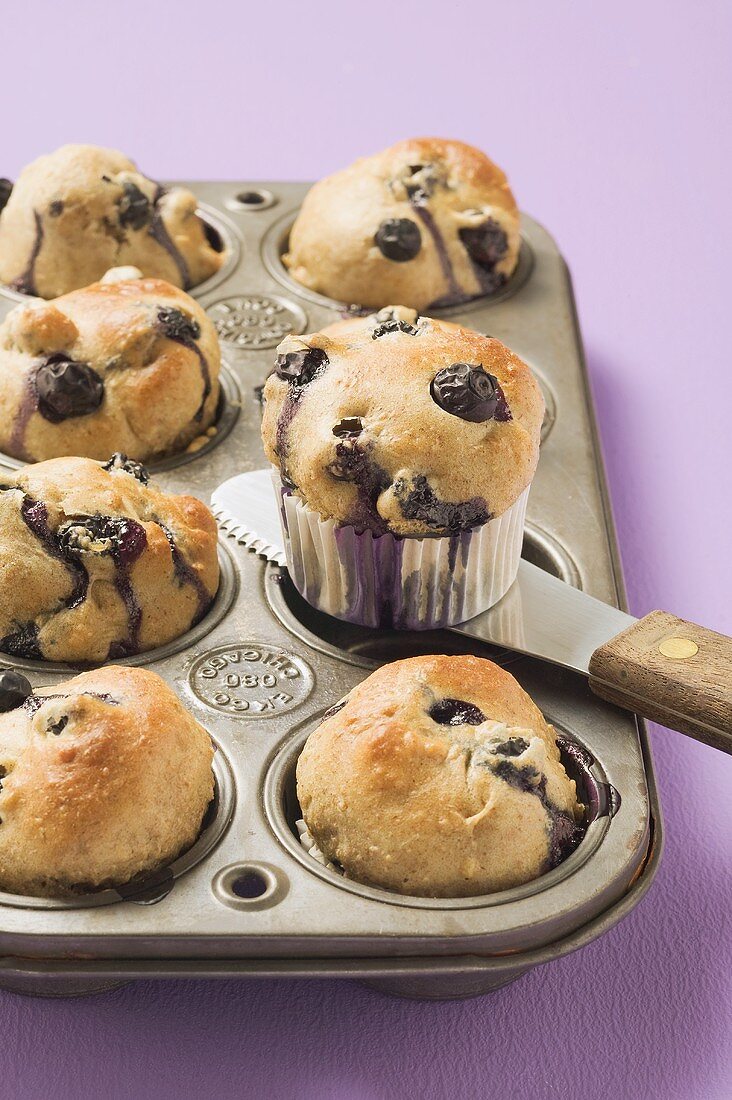 Blueberry muffins in muffin tin