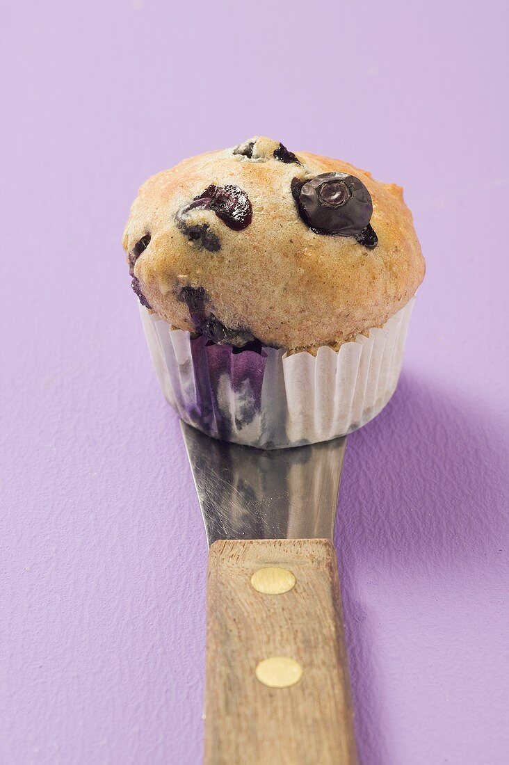 Blueberry muffin on server