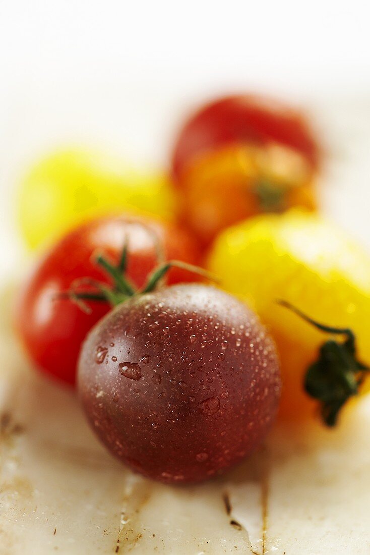 Tomaten in verschiedenen Farben mit Wassertropfen