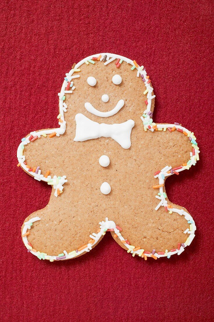 Gingerbread man with coloured sprinkles