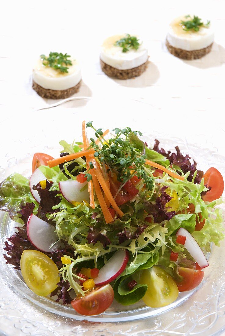Gemischter Salat und Brottaler mit Ziegenkäse