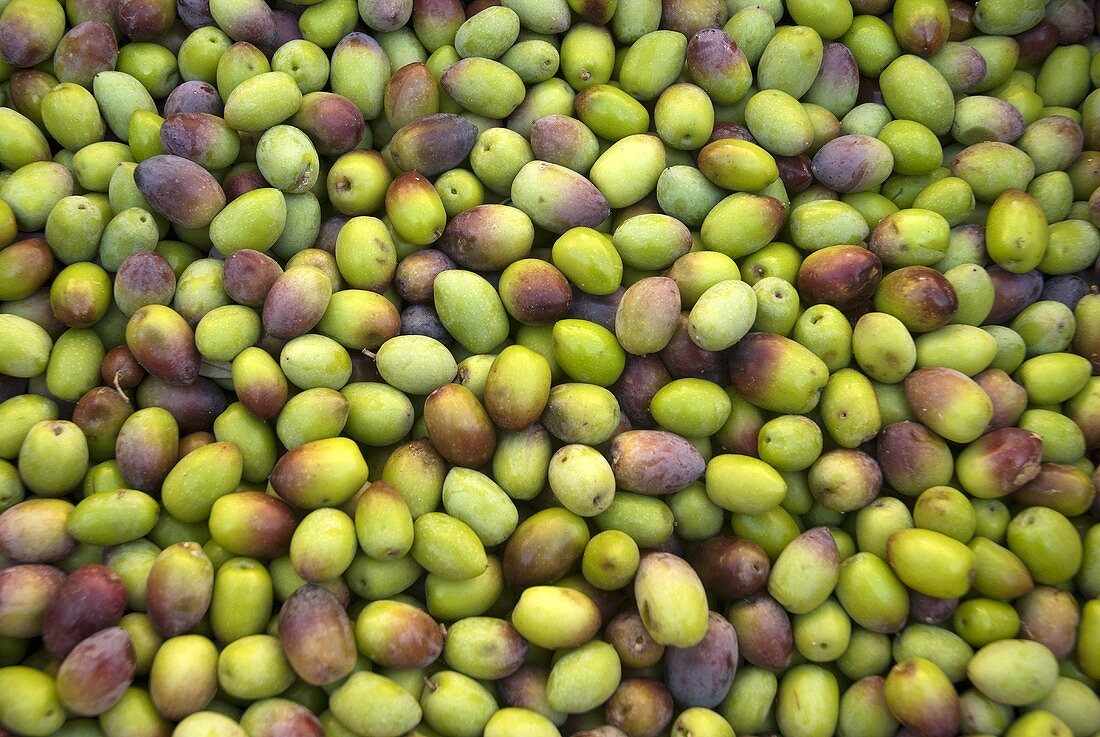 Fresh olives (full-frame)