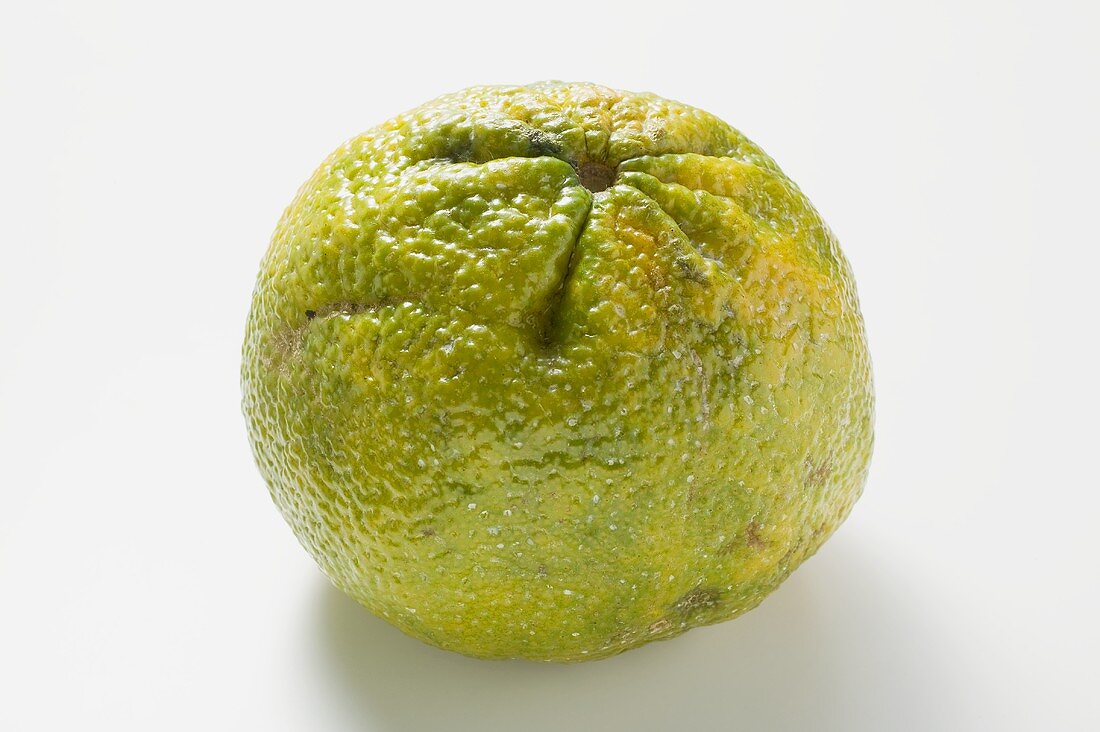 An ugli fruit