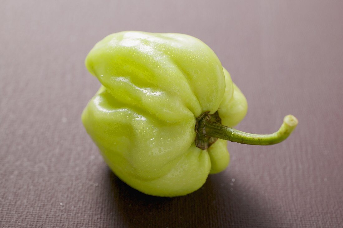 Green Habanero chilli
