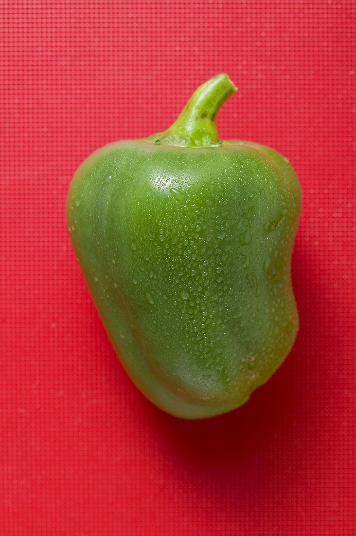 Green pepper with drops of water on red background