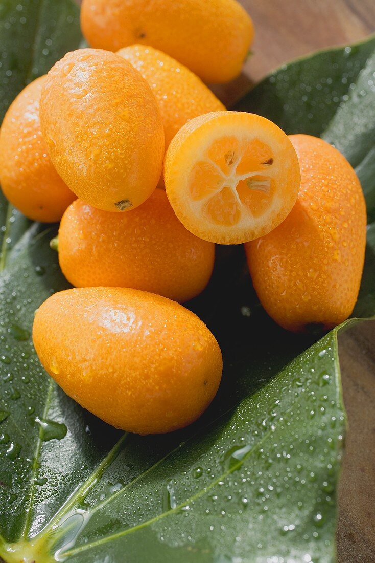 Kumquats mit Wassertropfen auf Blättern