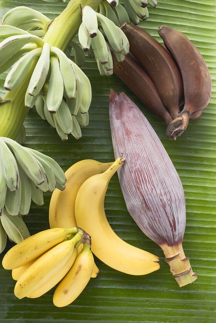 Banana still life on leaf