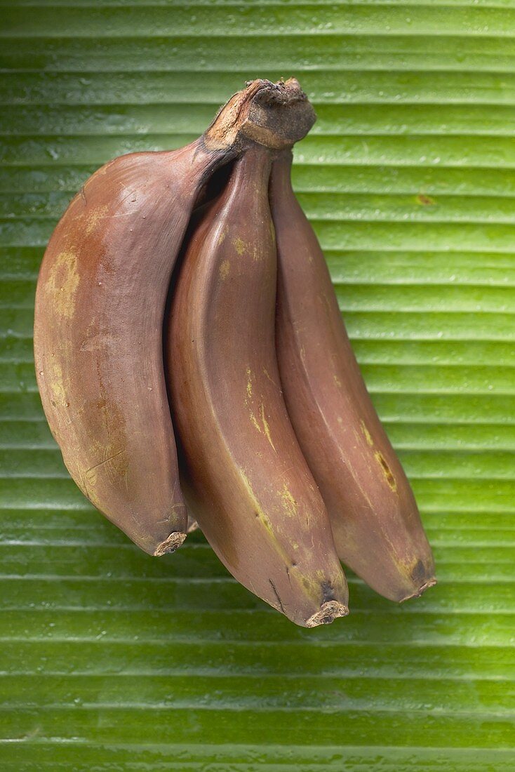 Rote Bananen auf Blatt