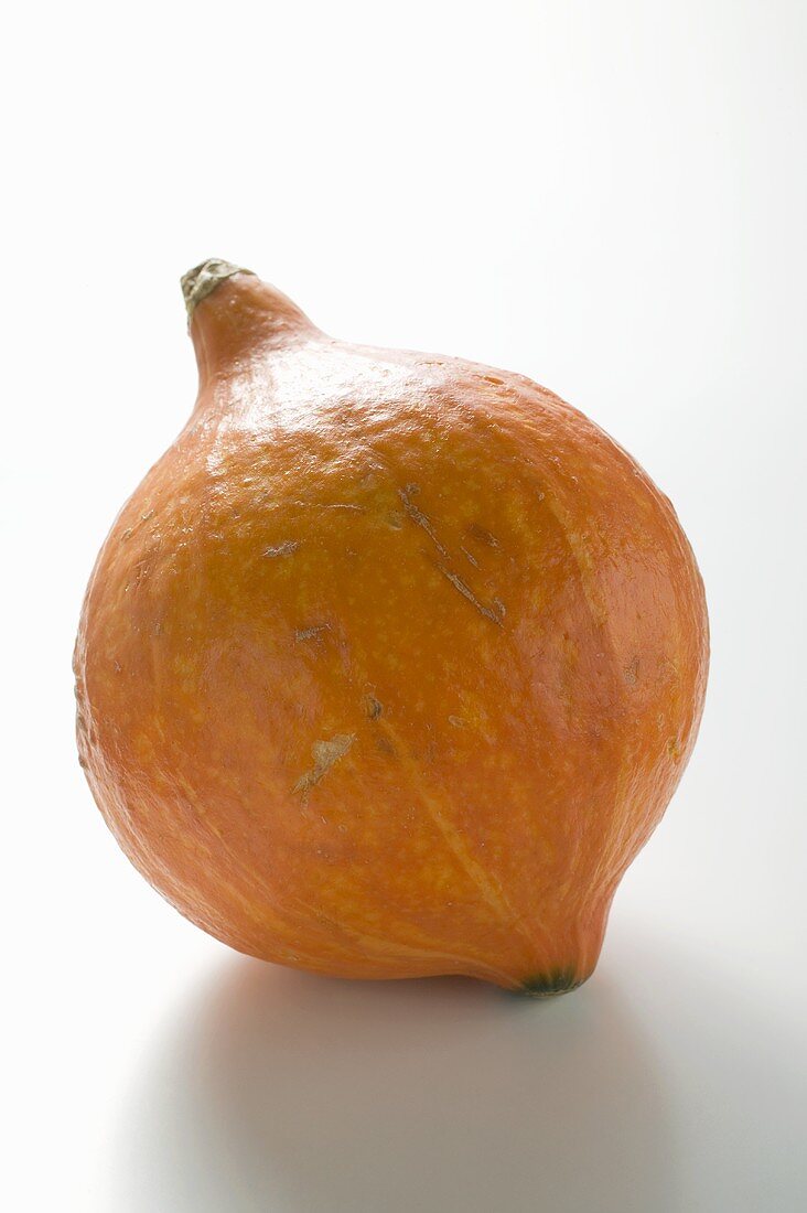 Orange pumpkin (Hokkaido)