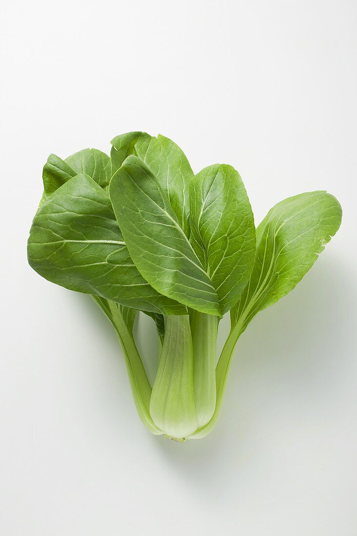 Fresh pak choi