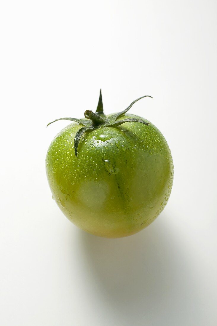 Grüne Tomate mit Wassertropfen