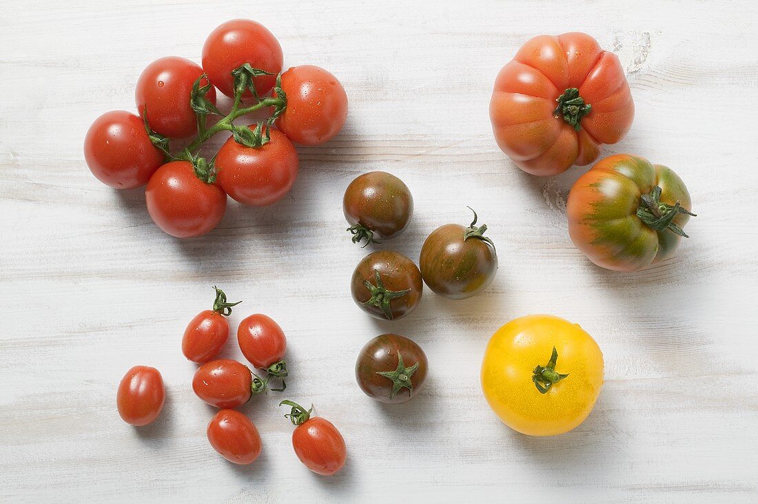 Verschiedene Tomatensorten (Draufsicht)