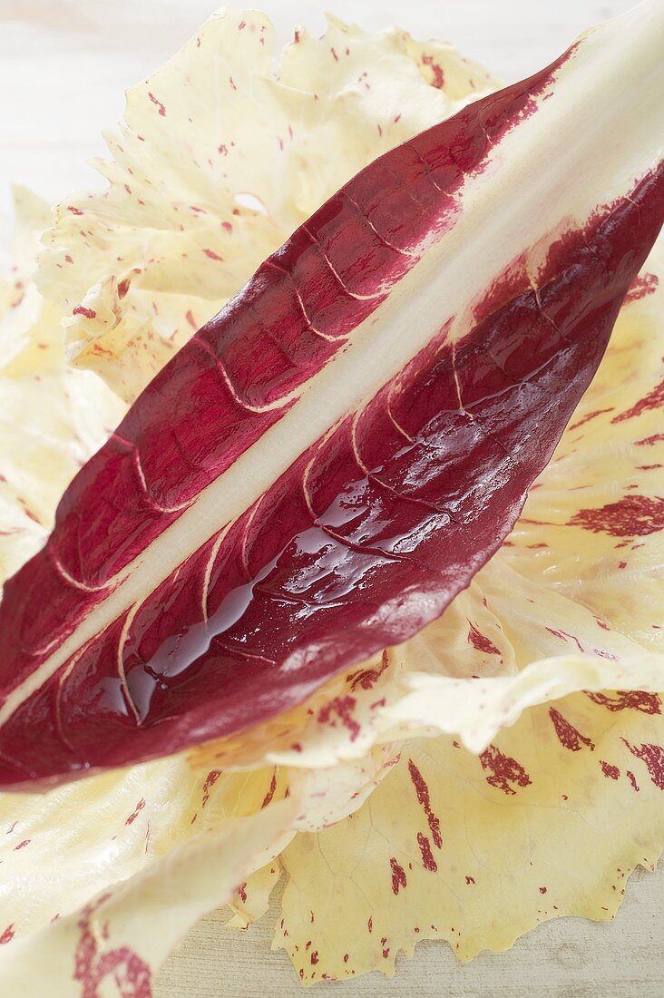 Two types of radicchio leaves