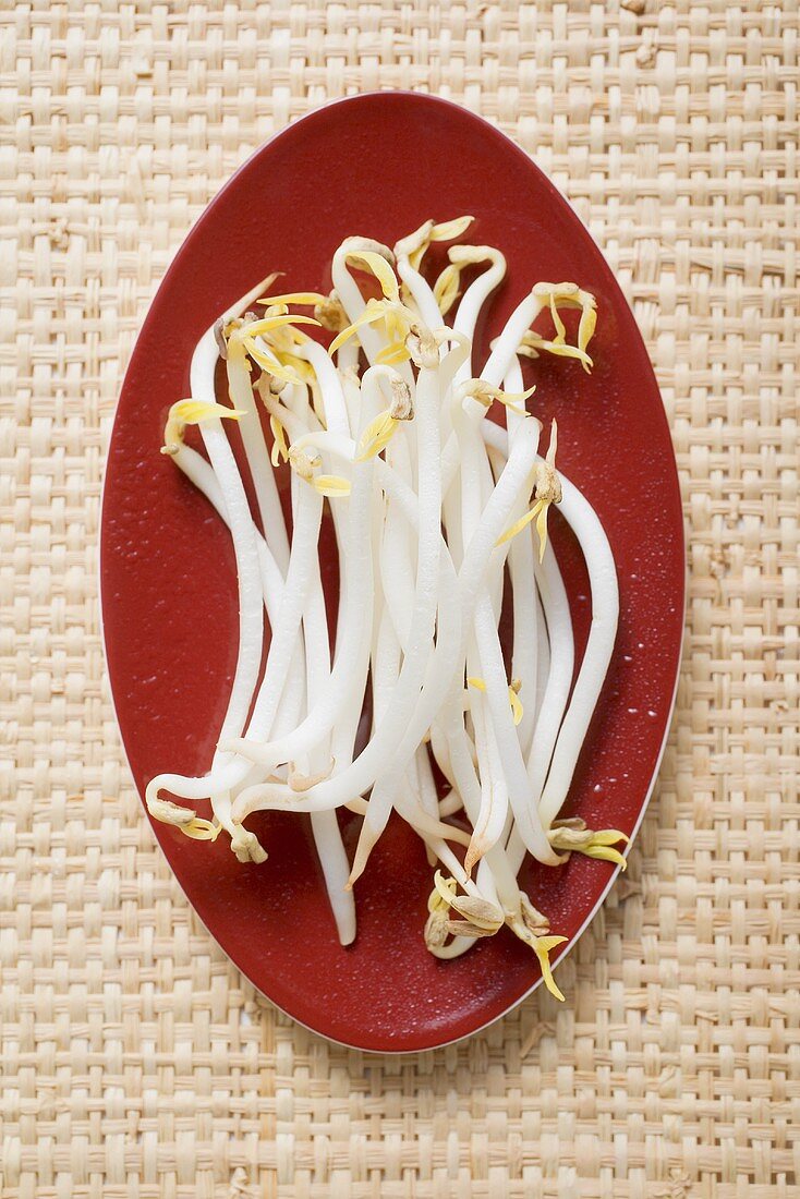 Fresh sprouts on red plate