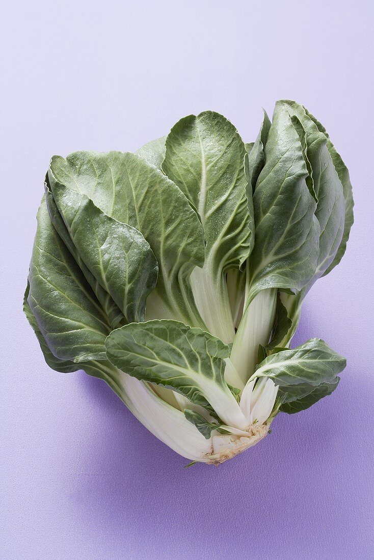 Frischer Pak Choi auf violettem Hintergrund