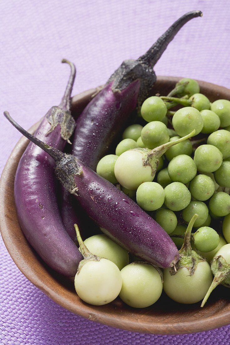 Various types of aubergines in wooden bowl