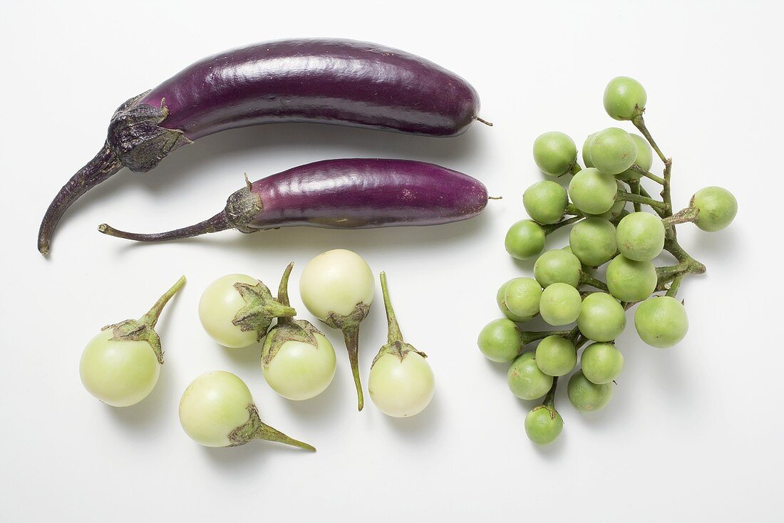 Various types of aubergines (overhead view)