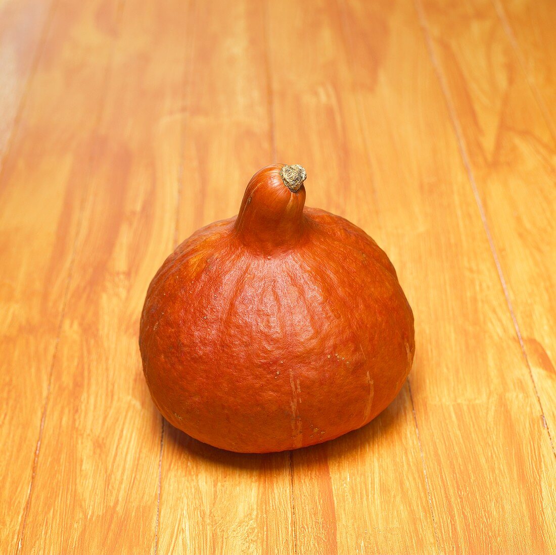 A Hokkaido pumpkin on orange background