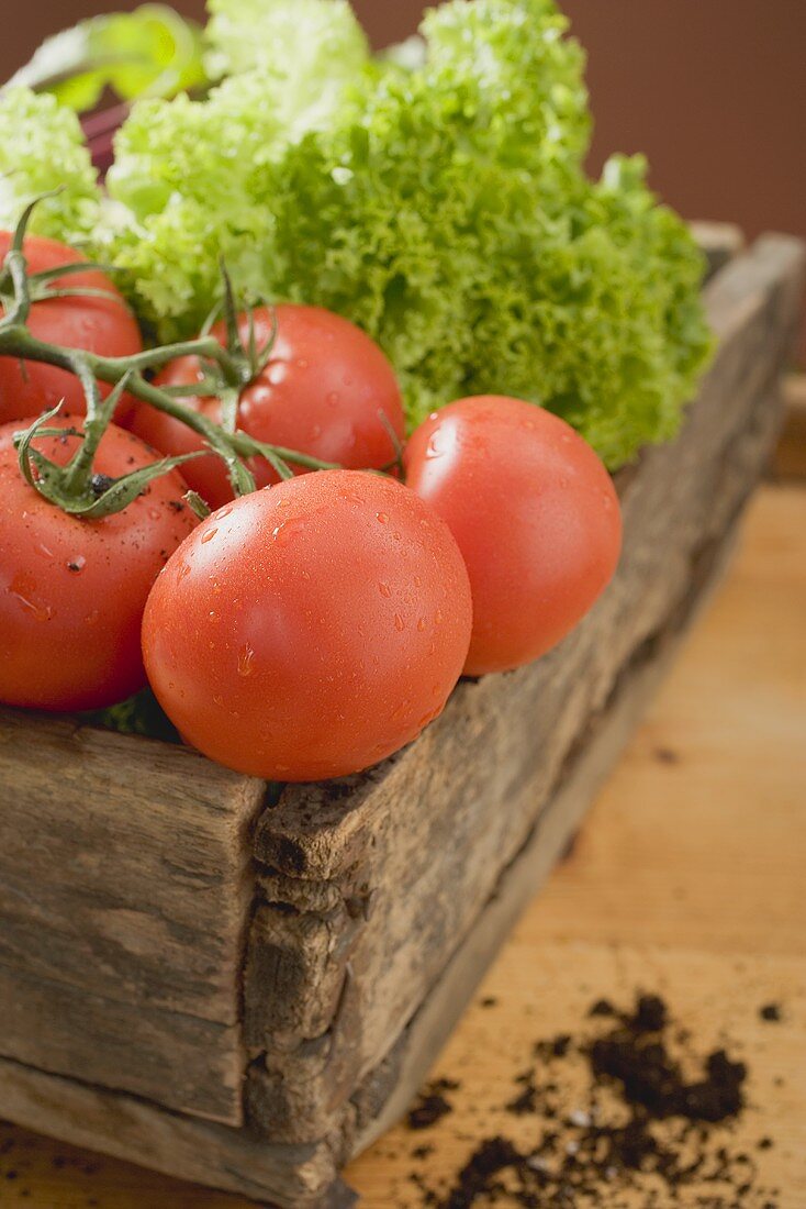 Holzkiste mit frischen Tomaten und Salat