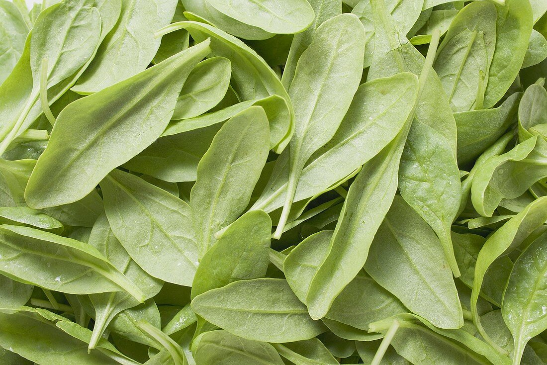 Fresh spinach leaves (full-frame)