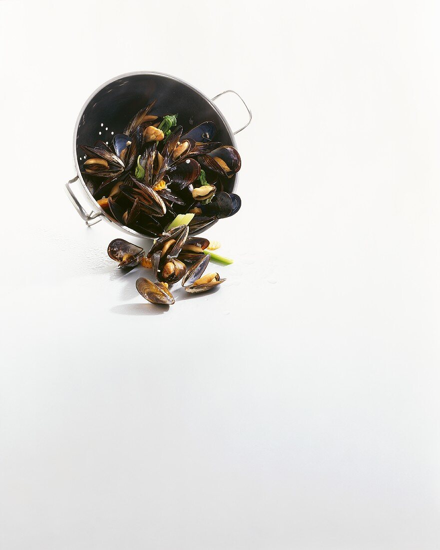 Cooked mussels in a colander