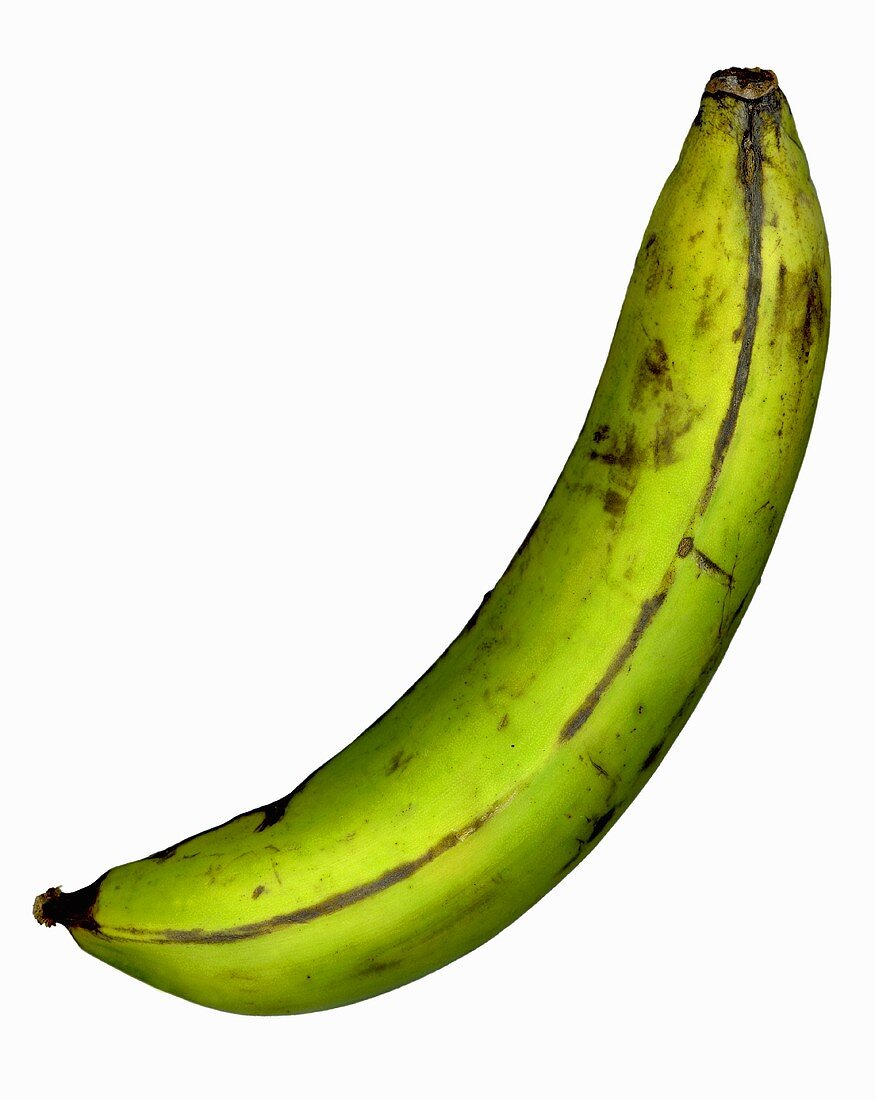 A plantain