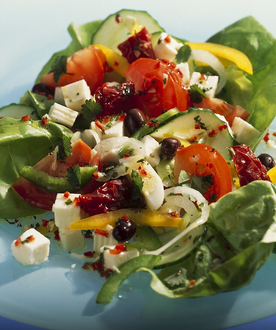 Hirtensalat mit getrockneten Tomaten, Oliven und Feta