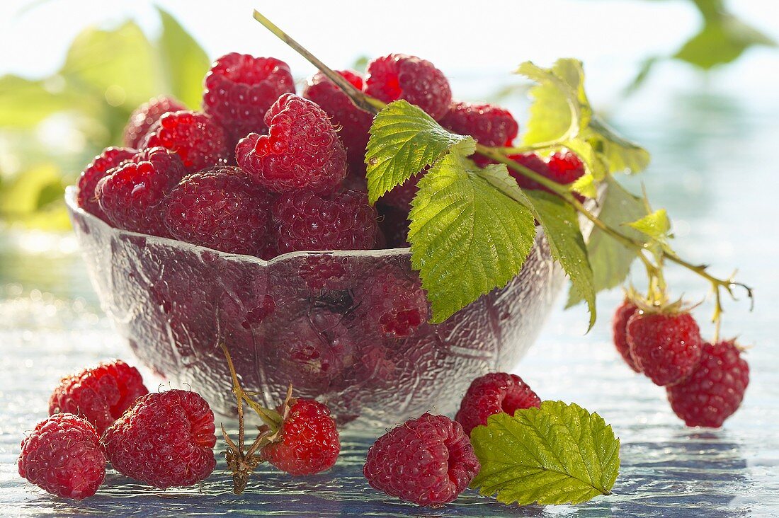Fresh raspberries with leaves in a bowl