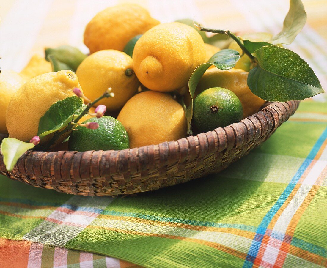 Lemons and limes in basket