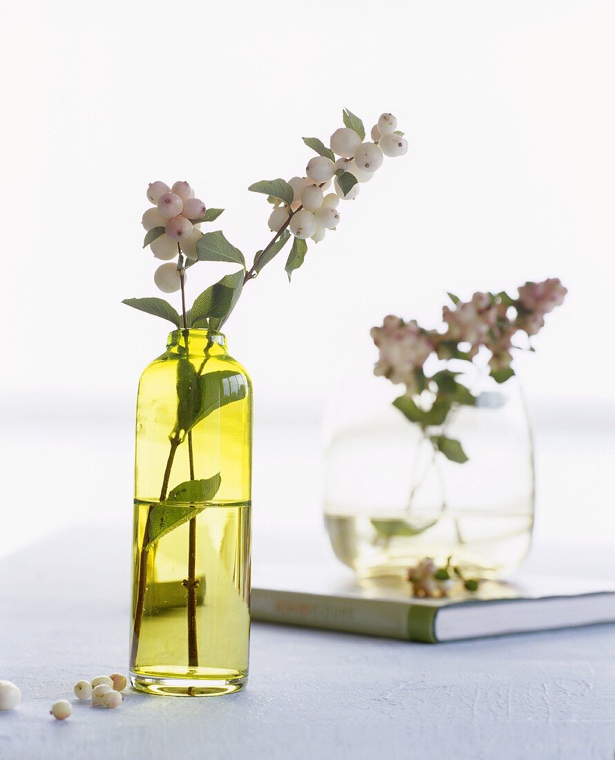 Snowberries in a glass vase