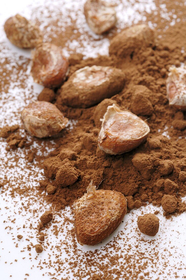 Cocoa beans and cocoa powder