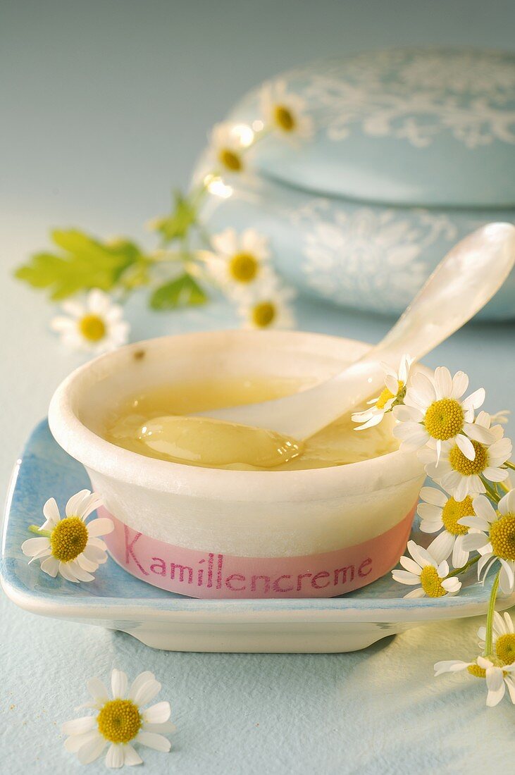 Chamomile cream and fresh chamomile flowers