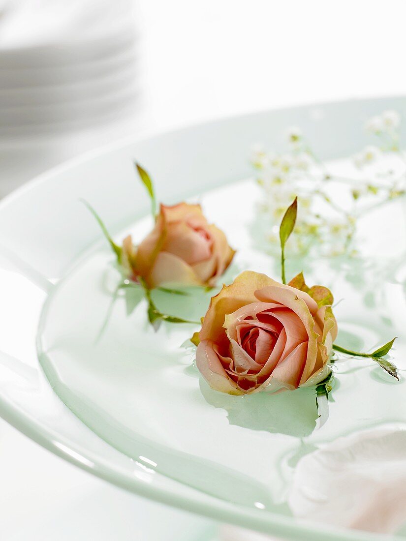 Rose heads in a bowl of water