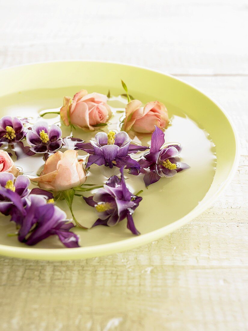 Floating flowers: aquilegias and roses