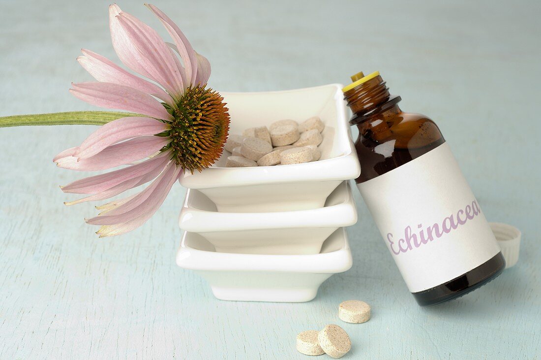 Sonnenhut (Echinacea) mit Schälchen, Tropfen und Tabletten