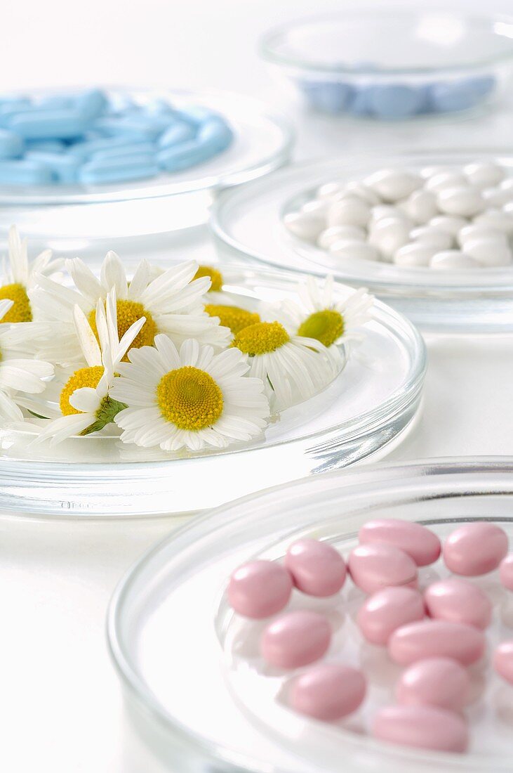 Kamillenblüten und Tabletten in Schälchen