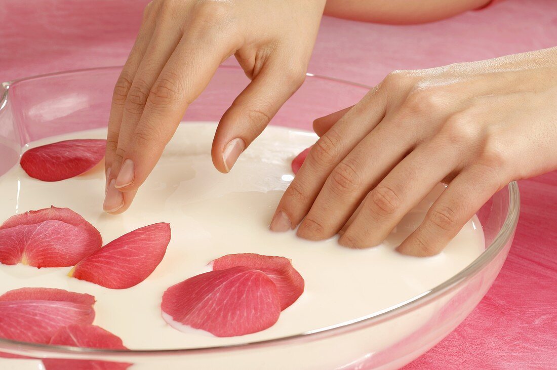 Hand spa with rose petals