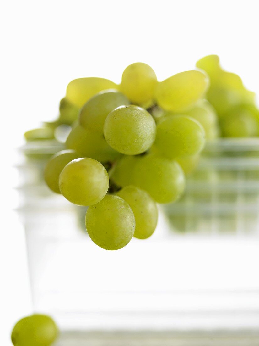 Green grapes