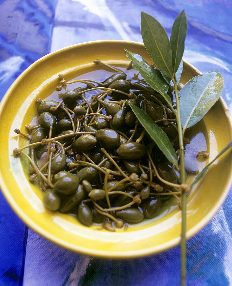 Pickled capers with sprig of bay
