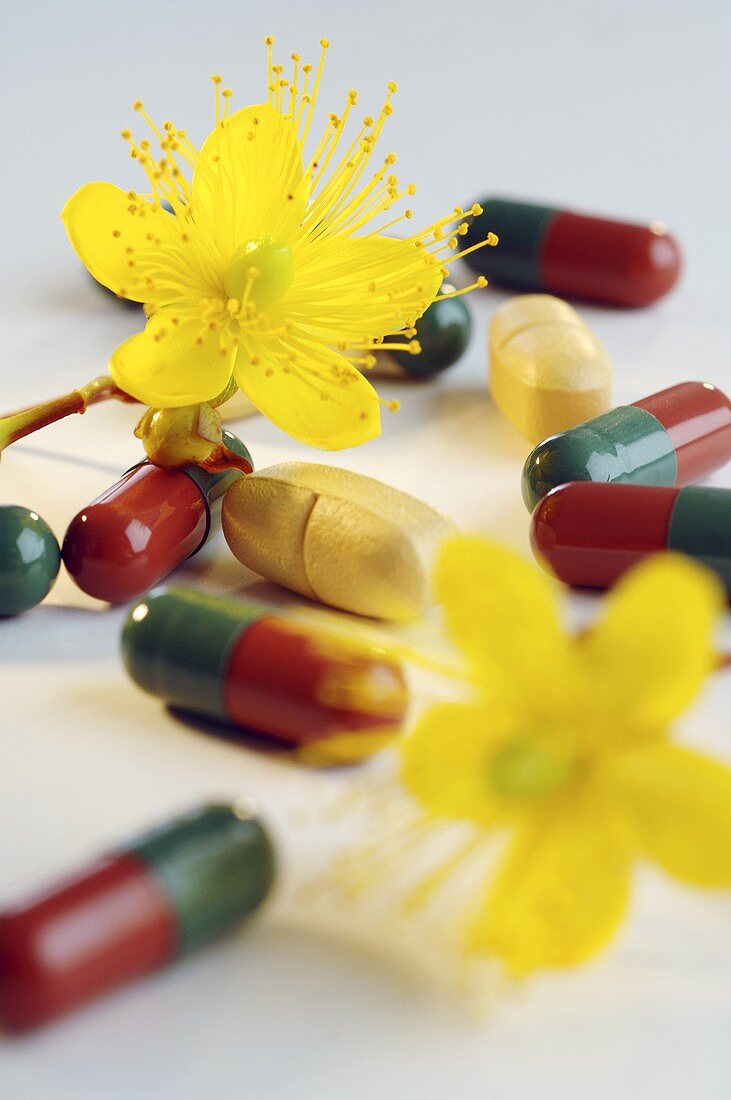 Johanniskraut-Tabletten und Blüten