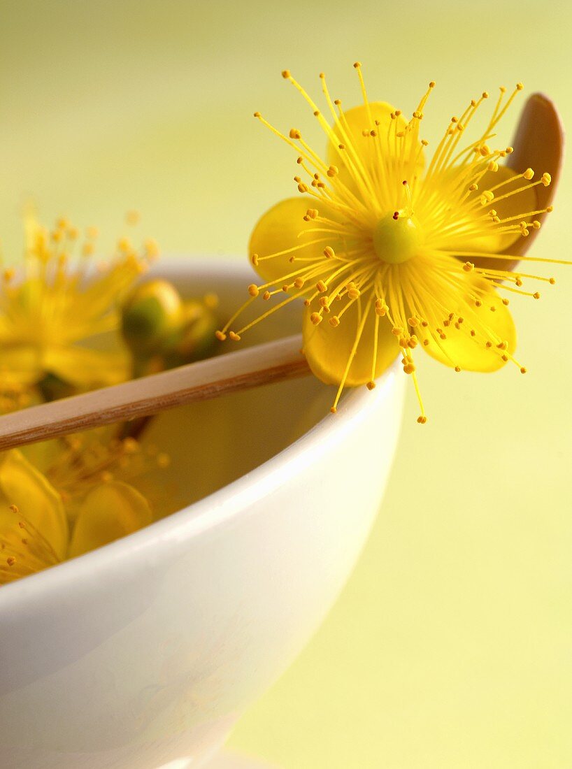 St. John's wort flowers in mortar